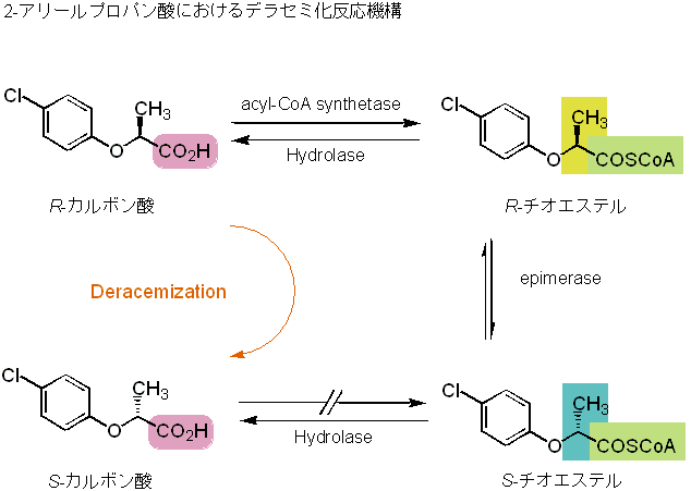 Kato_LabKagoshima Univ.