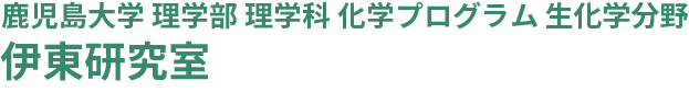 伊東研究室