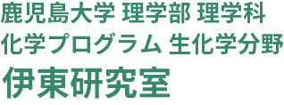 伊東研究室