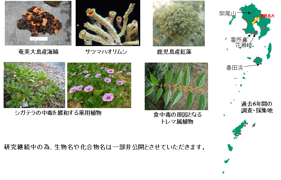 無題ドキュメント