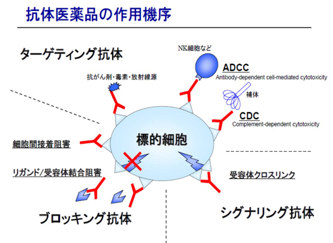 抗体医薬品の作用機序